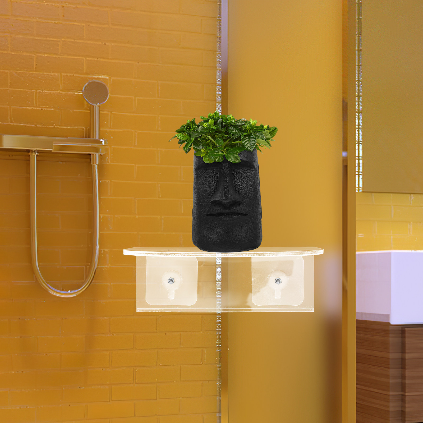 Food Storage In Plants - Zuignap Raamplank Transparant Acryl Zonder Boren
