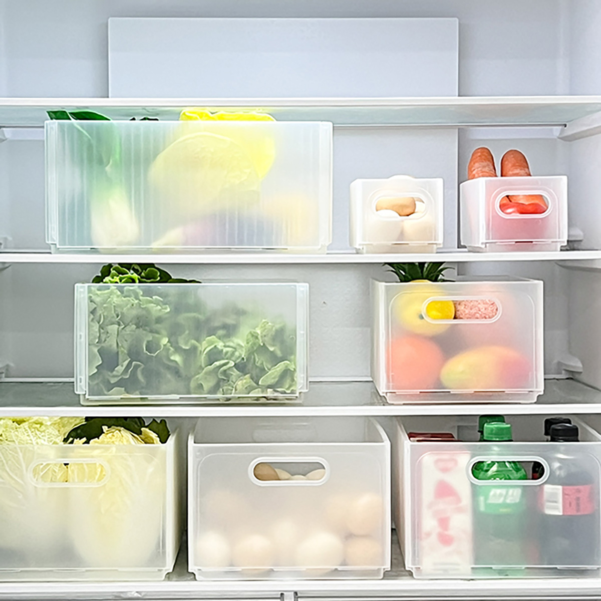 WORTHBUY Plastic Opvouwbare Ko - Food Storage Without Plastic recensie en prijs