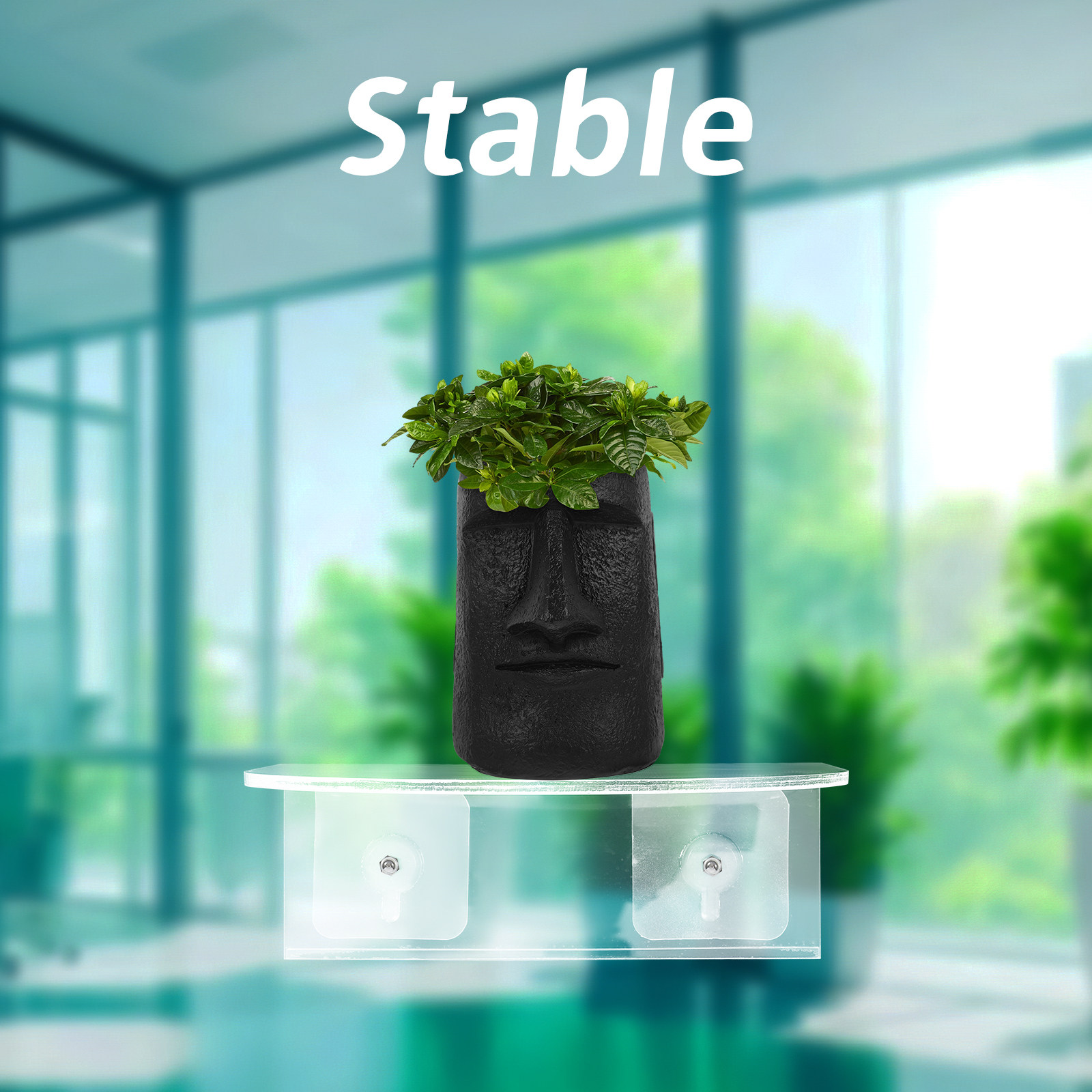 Zuignap Raamplank Transparant  - Food Storage In Plants recensie en prijs