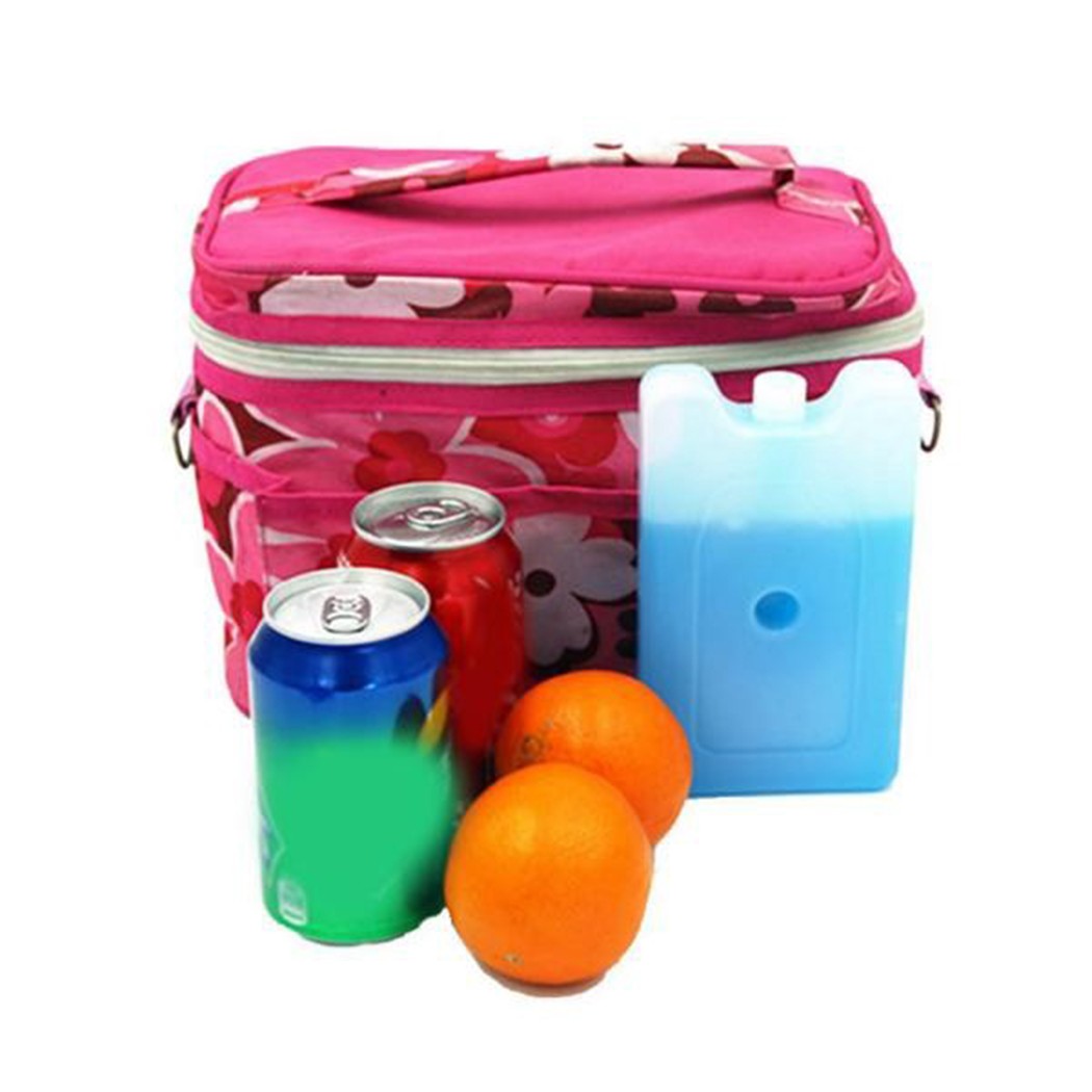 Gel Vriezer Ijsblokken Reislun - Food Storage Zip Bags recensie en prijs
