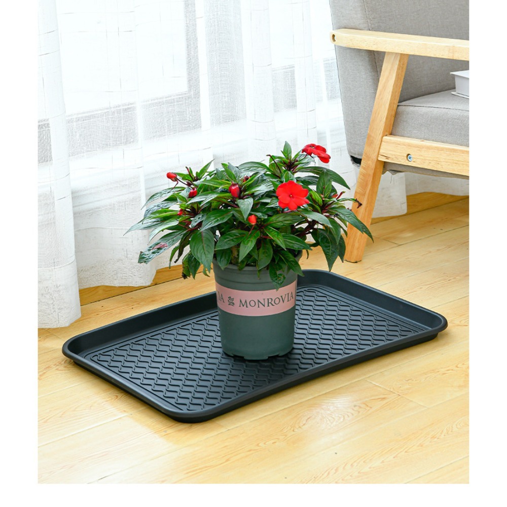 Multifunctionele kunststof lad - Food Storage In Plants recensie en prijs